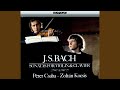 Miniature de la vidéo de la chanson Sonata No. 1 For Violin And Harpsichord In B Minor, Bwv 1014: Iii. Andante