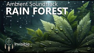 Rain forest Ambient Soundtrack for relaxation and meditation (3 hours)