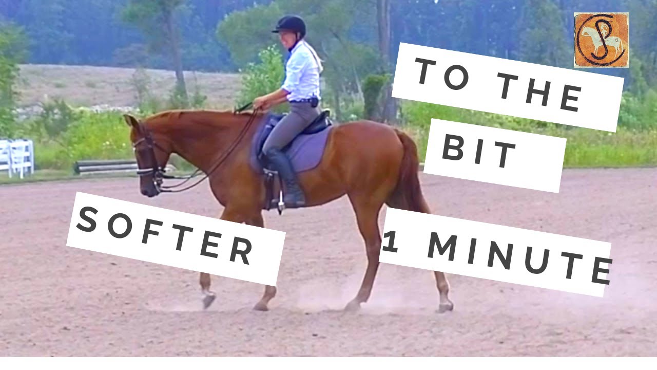 Get Your Horse Softer To Bit In 1Minute... YouTube