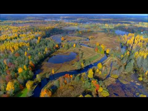 Video: Sügisvärvid Kesk-Atlandil: Shenandoahi Rahvuspargi Parim Sügisleht