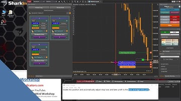 BlackBird - Moving a Fixed Stoploss/Profit Target to a Changing Avg. Entry Price