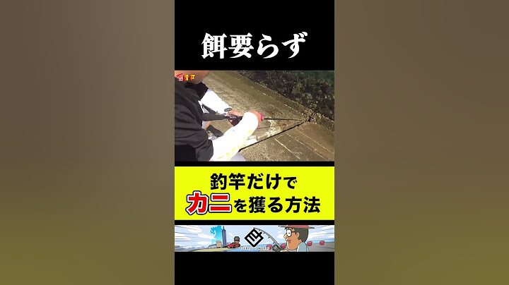 【蟹】カニを捕まえる良い方法①