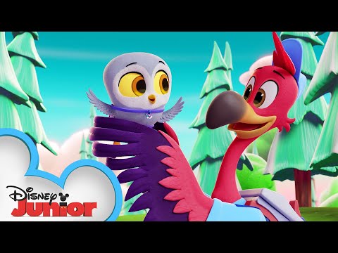 T.O.T.S.: Special Delivery, Disney Junior