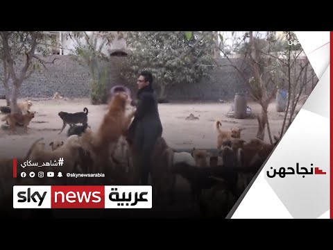 حنان زكي مصرية تهب حياتها لإنقاذ كلاب الشوارع نجاحهن