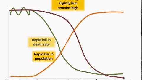 Demographic Transition Model Explained