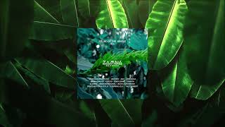 Stephan Jolk - Morning Comes (Original Mix) [ZAMNA Records]