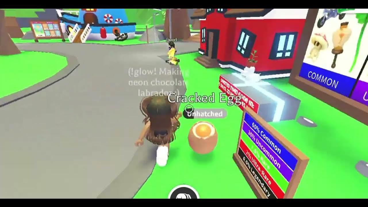 how to hatch a legendary pet out of a cracked egg !adopt me! part 3