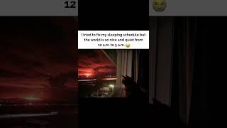 Sleeping Schedule  shorts