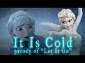 Funny Let It Go parody It Is Cold from Disney's Frozen - Hilarious Polar Vortex version