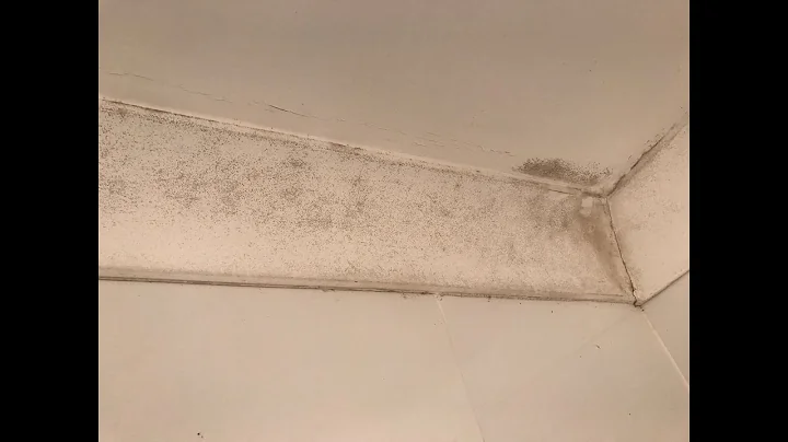 HOW TO REMOVE AND KILL MOULD ON WALLS AND CEILINGS - DayDayNews