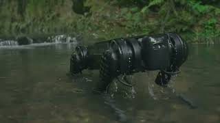 Robot dog vs Alligator/ Navy Seal test Underwater feasibility, World 1st underwater test.