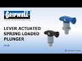 Southco 56 lever actuated spring loaded plunger