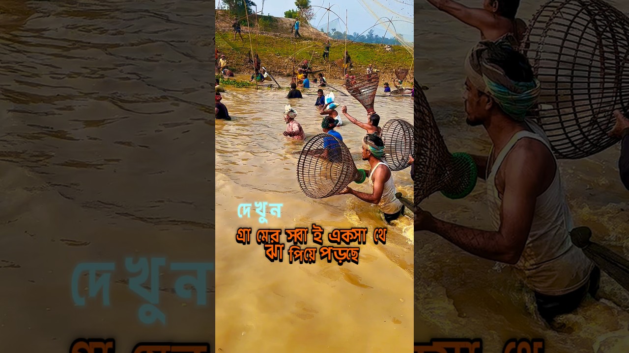কনকনে শীতের মাঝেও বহু বছরের পুরনো বিলে শিকারীরা মাছ ধরতে নেমে পড়েছেন 🐟