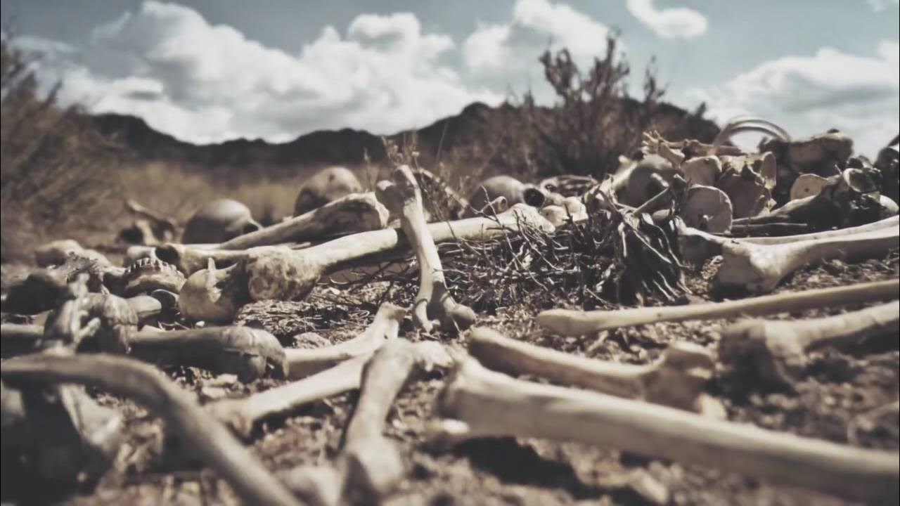 Dry Bones (Song by Lauren Daigle & Video by Dan DiFelice) Dry Bones (Song by Lauren Daigle & Video by Dan DiFelice)