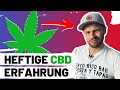 Meine heftige CBD Erfahrung bei Ängsten, Stress und Schlafstörungen