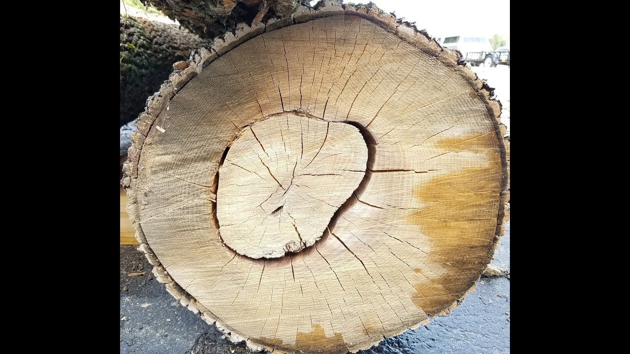 Check Yourself Wood Shakes Checks And Splits YouTube Check Yourself Wood Shakes Checks And Splits YouTube