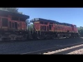 BNSF 5970 rolls an empty coal north past the Trolley Museum