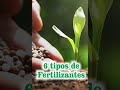 6 tipos de fertilizantes