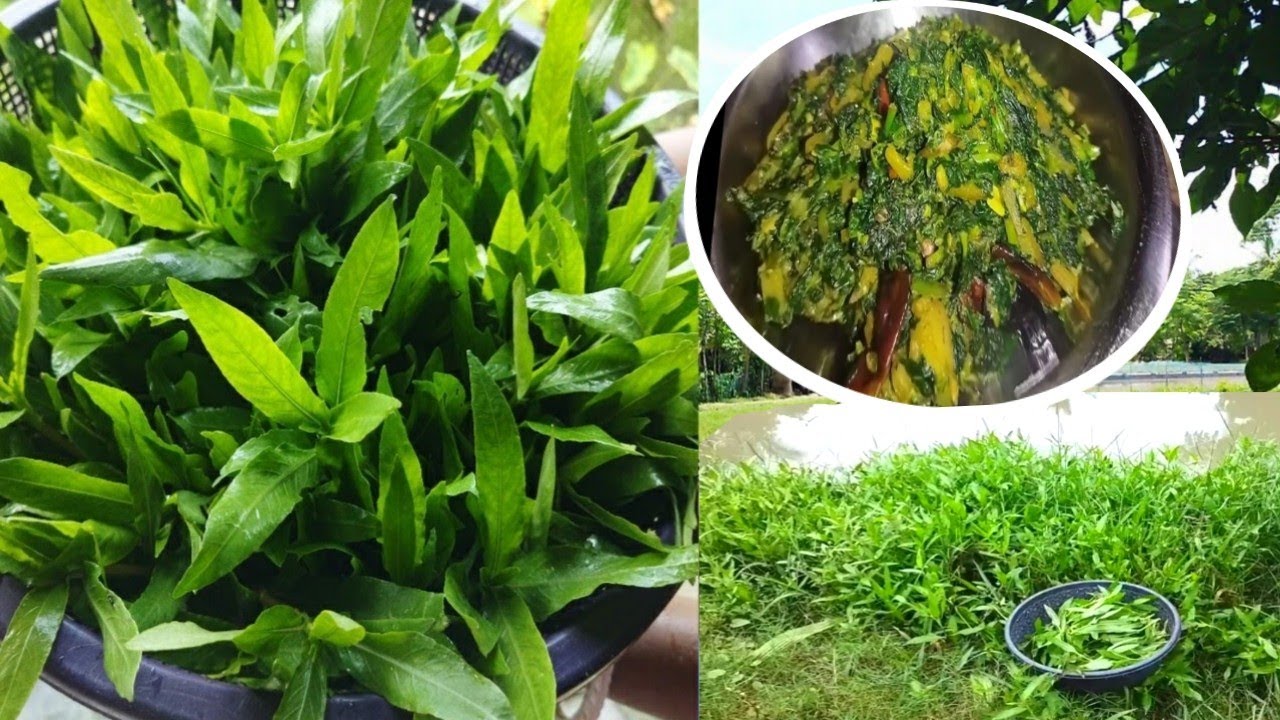 সবচেয়ে বেশি স্বাদের কুলপি/কুলেখাড়া শাকের রেসিপি||kulekhara/kulpi shak recipe