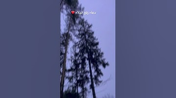 #الرقية_الشرعية #حمزة_بوديب #سورة_البقرة #تحصين #nature #دعاء