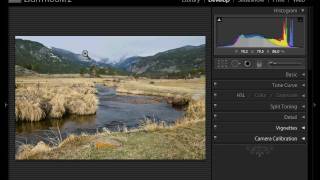 Yellow Wood Guiding - Landscape Composition Part 1