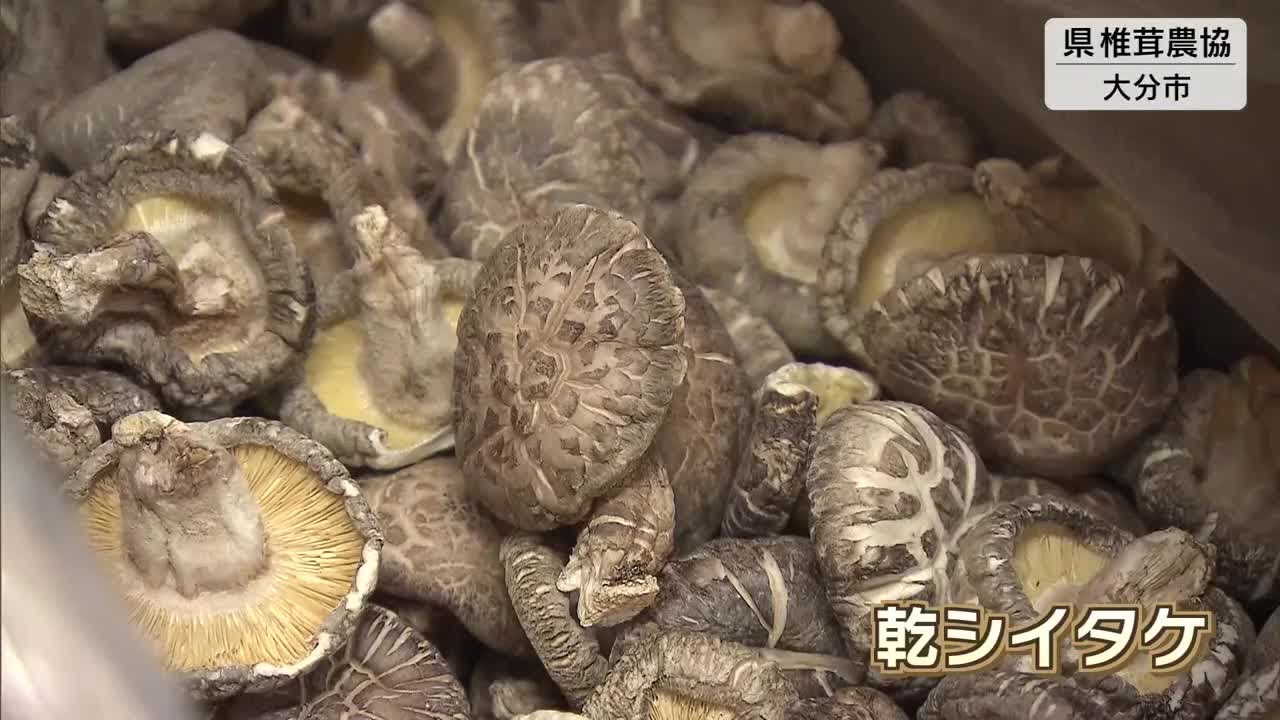 日本一の生産量誇る 県産乾しいたけの入札会 最高値は1キロ2万円に