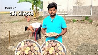 आलू की खेती किस प्रकार से किया जाता है l  Village vlog l daily vlog l Potato 🥔 Farming l