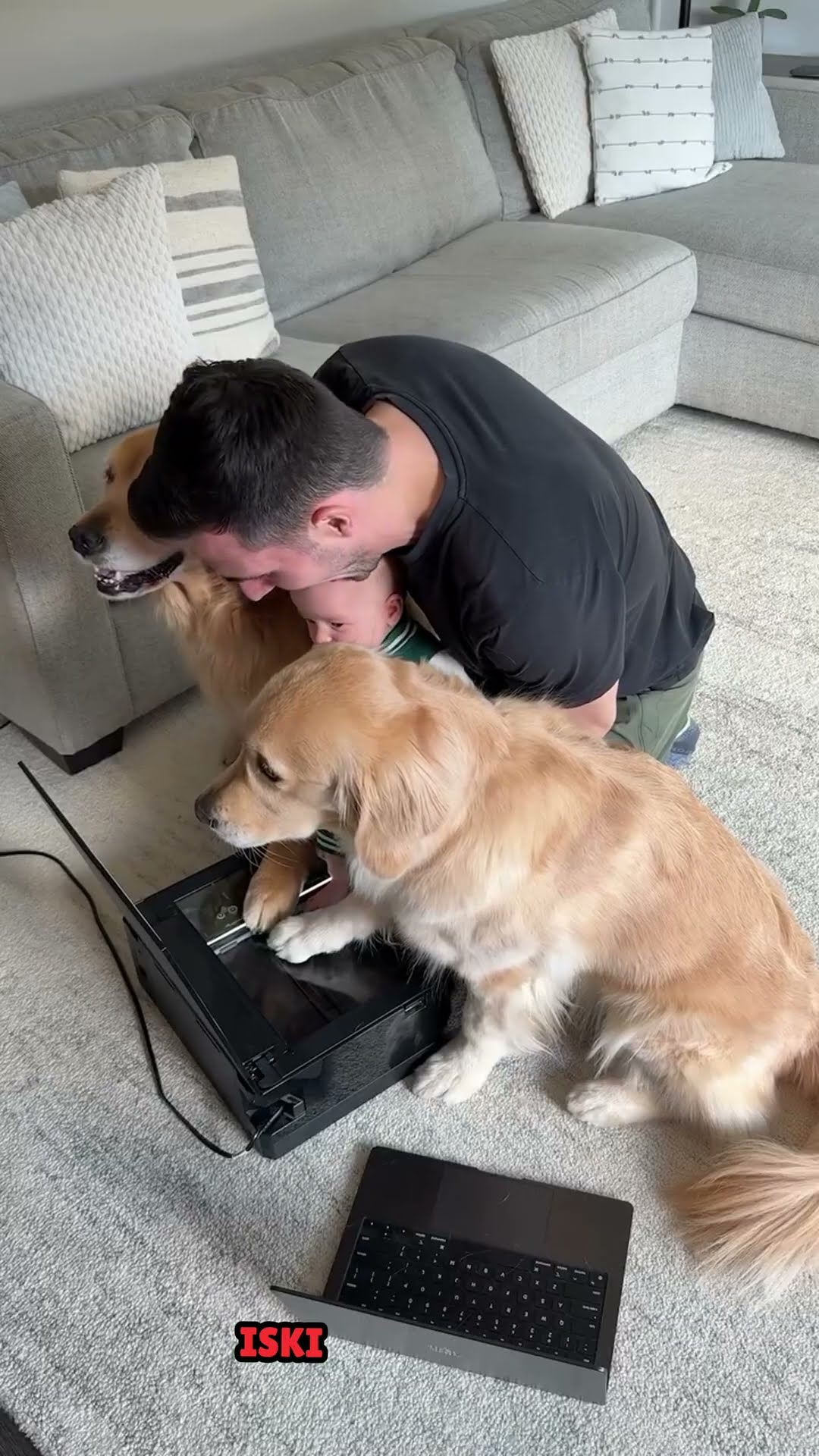 Dog print #shortvideo
