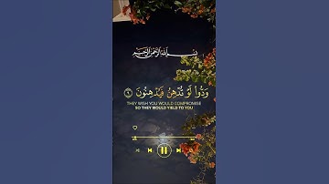 فلا تطع المكذبين.. #ريحانة_قرآن #تلاوات #قرآن #quran #تلاوة_خاشعة