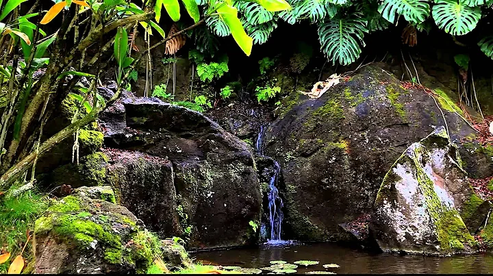 Trickle Pond from Beautiful Kaua'i by Wayne Williams