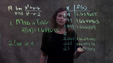 2.2 Limits, a Numerical and Graphical Approach: Estimating Limits (#19)