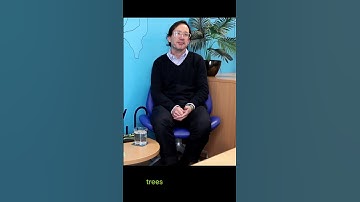 What Is a Digital Surface Model (DSM)? Simple Explanation