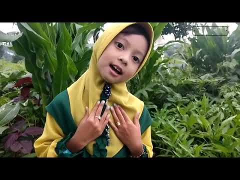 Sholawat Tibbil Qulub (Obat Hati) by hafidzah dinillah az zahra