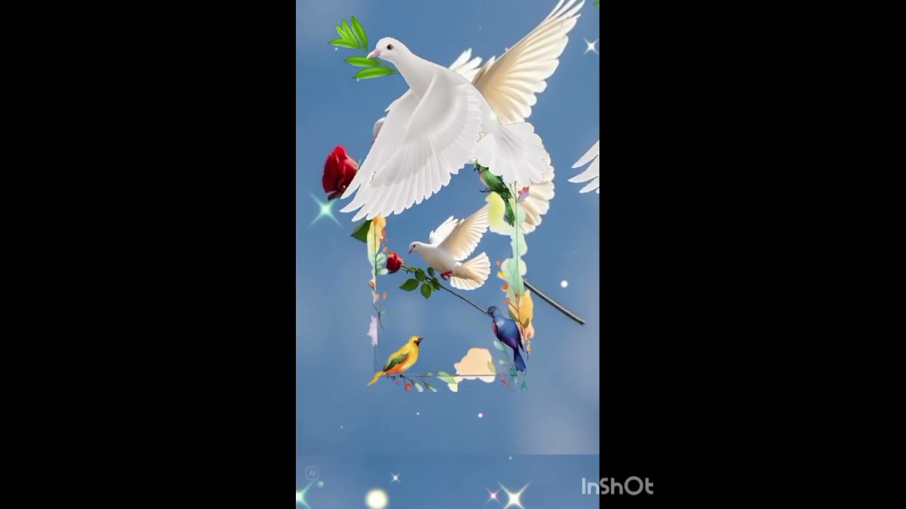 ЖИТТЯ ЄДИНЕ 💞💥автори слів Олена Трач -Коржова і Людмила Совсімова💥💞 монтаж відео Олена Трач -Коржова