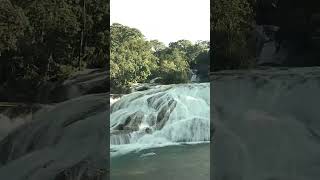 Reflexion / Sembrar para el futuro #maria #jesus #dios #sembrar #futuro