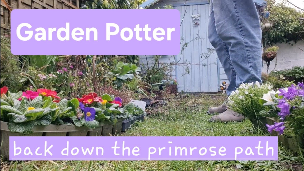 Garden Potter, back down the primrose path!