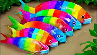 Stop motion ASMR - Catfish hunting Colorful carp koi fish  - 다채로운 잉어물고기 | 거대한 개구리 - 무지개 메기/ 스톱 모션