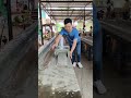 บัวปูนขนาด 15 cm #asmr #woodworking #cementart #building #satisfying #cementdesign #fypシ゚viral