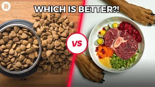 KIBBLE VS RAW DOG FOOD - WHICH IS BETTER? VET TELLS ALL! | The BK Petcast with Dr. Ian Billinghurst