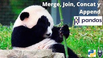 Combinando datos con merge,join,concat y append-Pandas 101