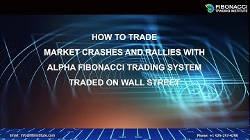 Webinar: How to Trade Market Crashes and Rallies with the Alpha Fibonacci Trading Institute System