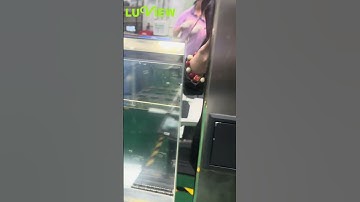 Low-Temperature Testing of Intelligent AI Detection Cameras: Performance and Reliability