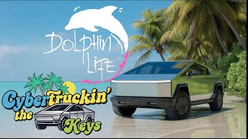 Het dolfijnenleven verkennen terwijl je de sleutels cybertruckt
