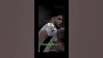 وان تو ثري فيفا لالجيري 