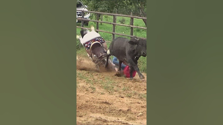 SOLO EL SUSTO #shortvideo #toros #vaqueros #caballos #caballoscorriendo #horse