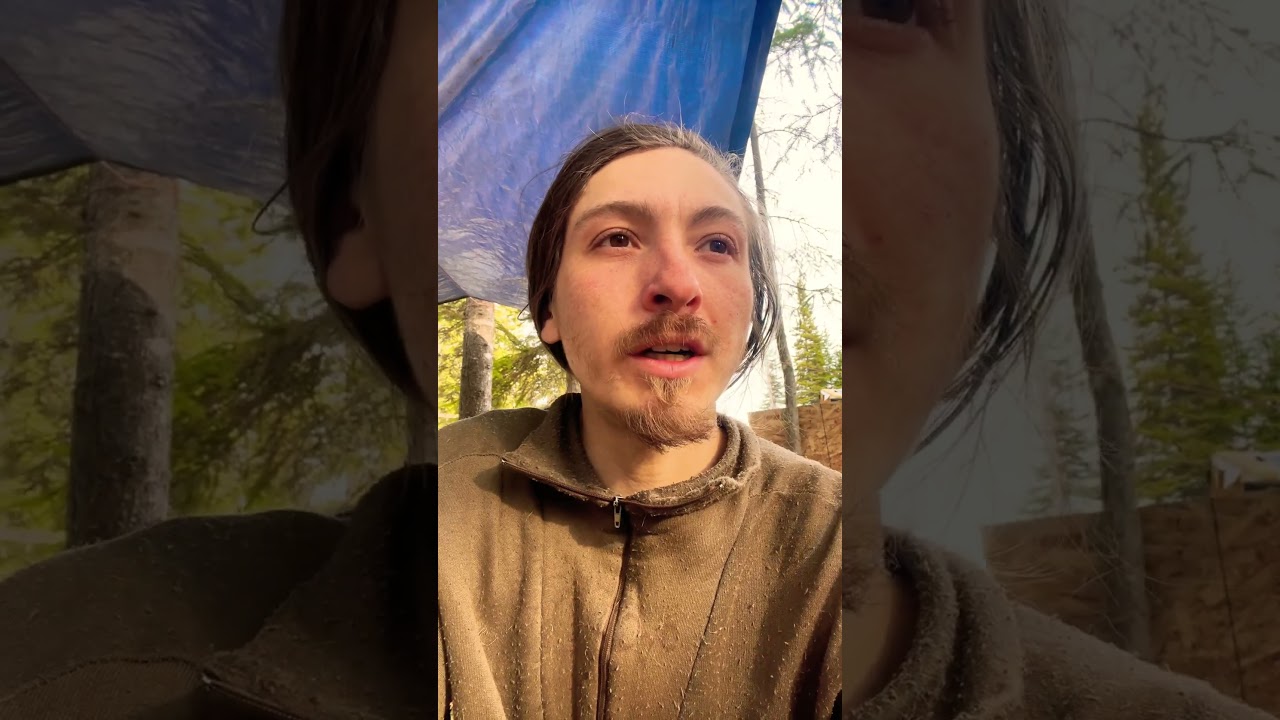 Our pig is friends with our sheep!! 