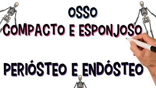 ✅ TECIDO ÓSSEO COMPACTO E ESPONJOSO | PERIÓSTEO E ENDÓSTEO | DIÁFISE E EPÍFISE