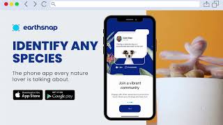 Earthsnap What Plant Is This? Download