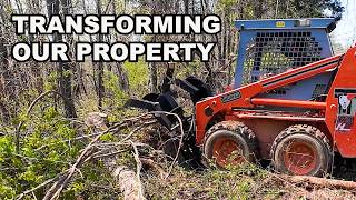 Reclaiming My Property from the Woods with a Skid Steer