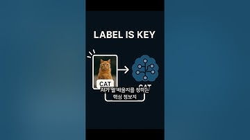 데이터 라벨링. 이미지 AI가 학습하려면?